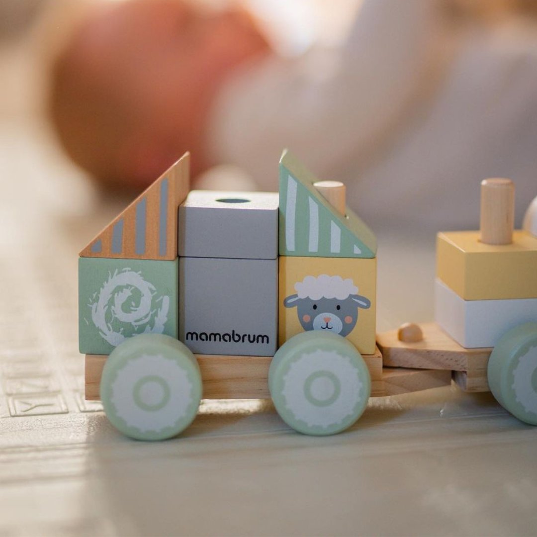 Treno di legno con blocchi per bambino - Fattoria