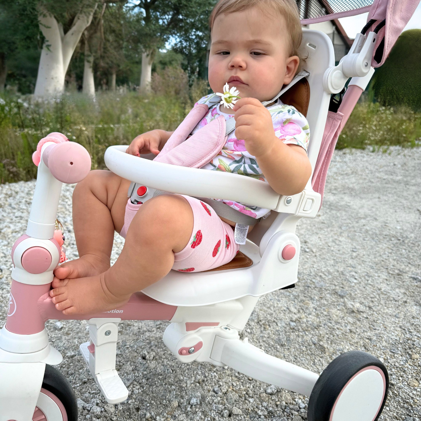 Triciclo multifunzionale 8in1 TOBI FOREST - rosa