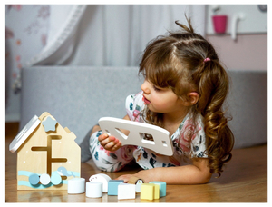 Sorter - casetta educativa in legno con blocchi