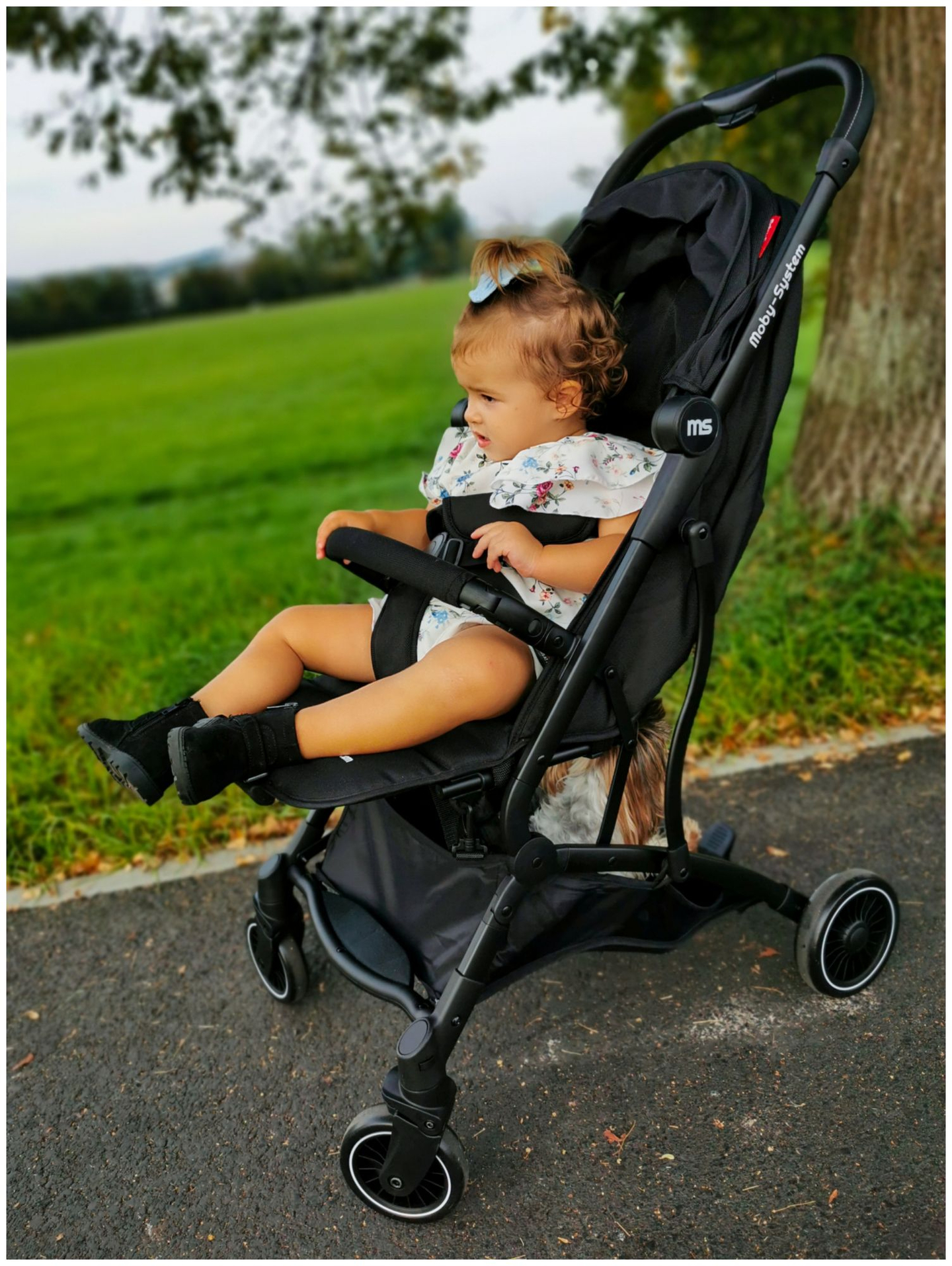 Carrozzina Moby-System LENA