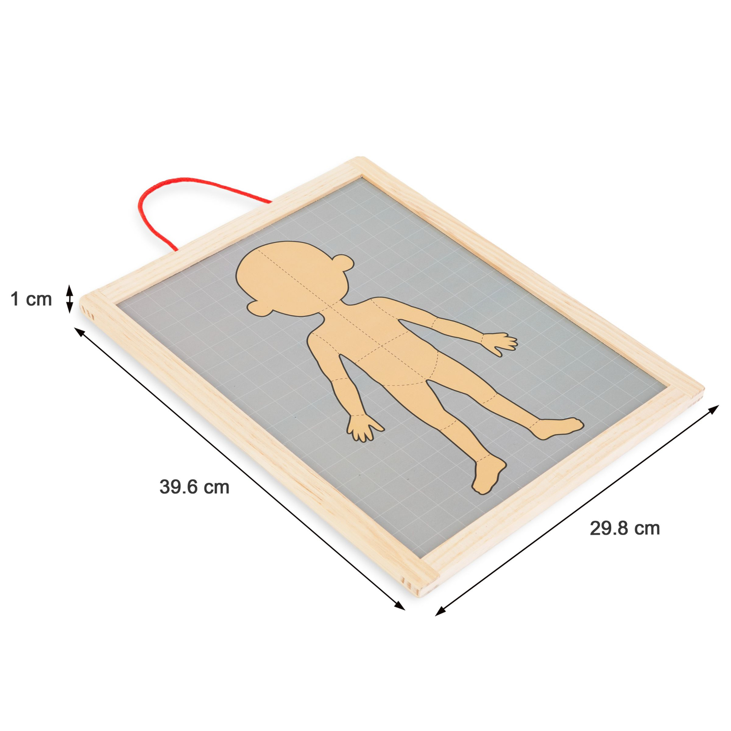 Puzzle magnetici - Scienza dell'anatomia - Il corpo umano