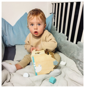 Sorter - casetta educativa in legno con blocchi