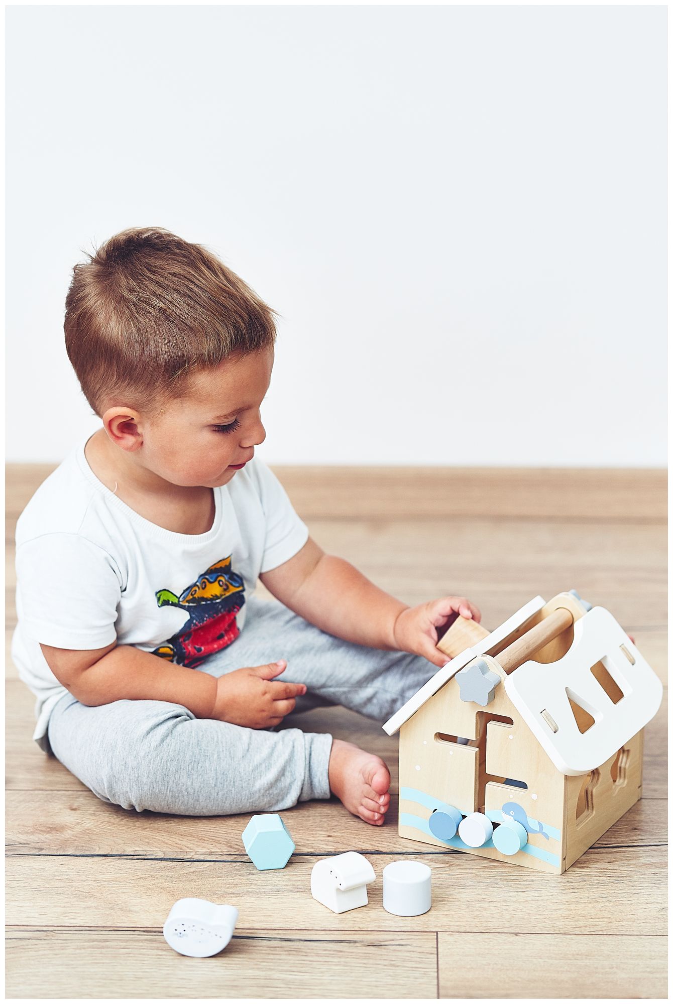 Sorter - casetta educativa in legno con blocchi