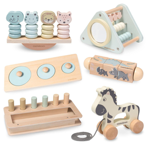 Set di giocattoli Montessori per bambini 19-24 mesi