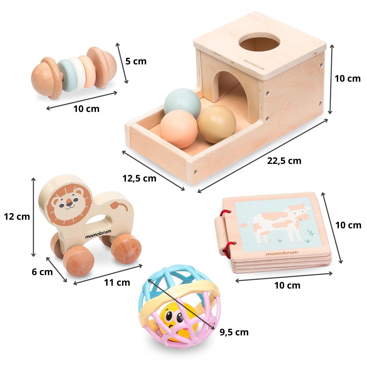 Set di giocattoli Montessori per bambini da 7 a 12 mesi