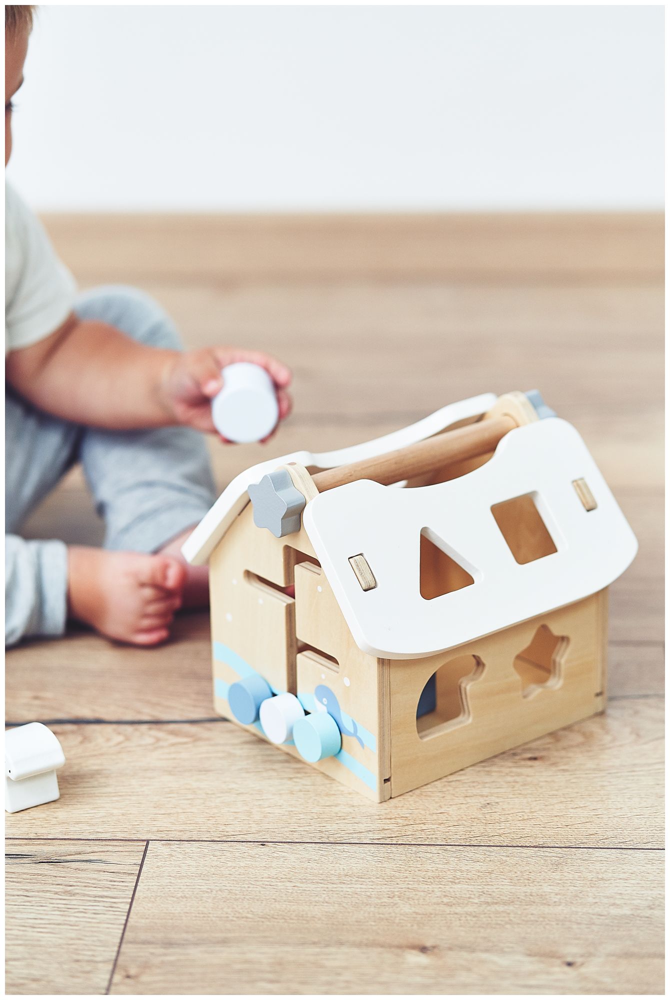 Sorter - casetta educativa in legno con blocchi