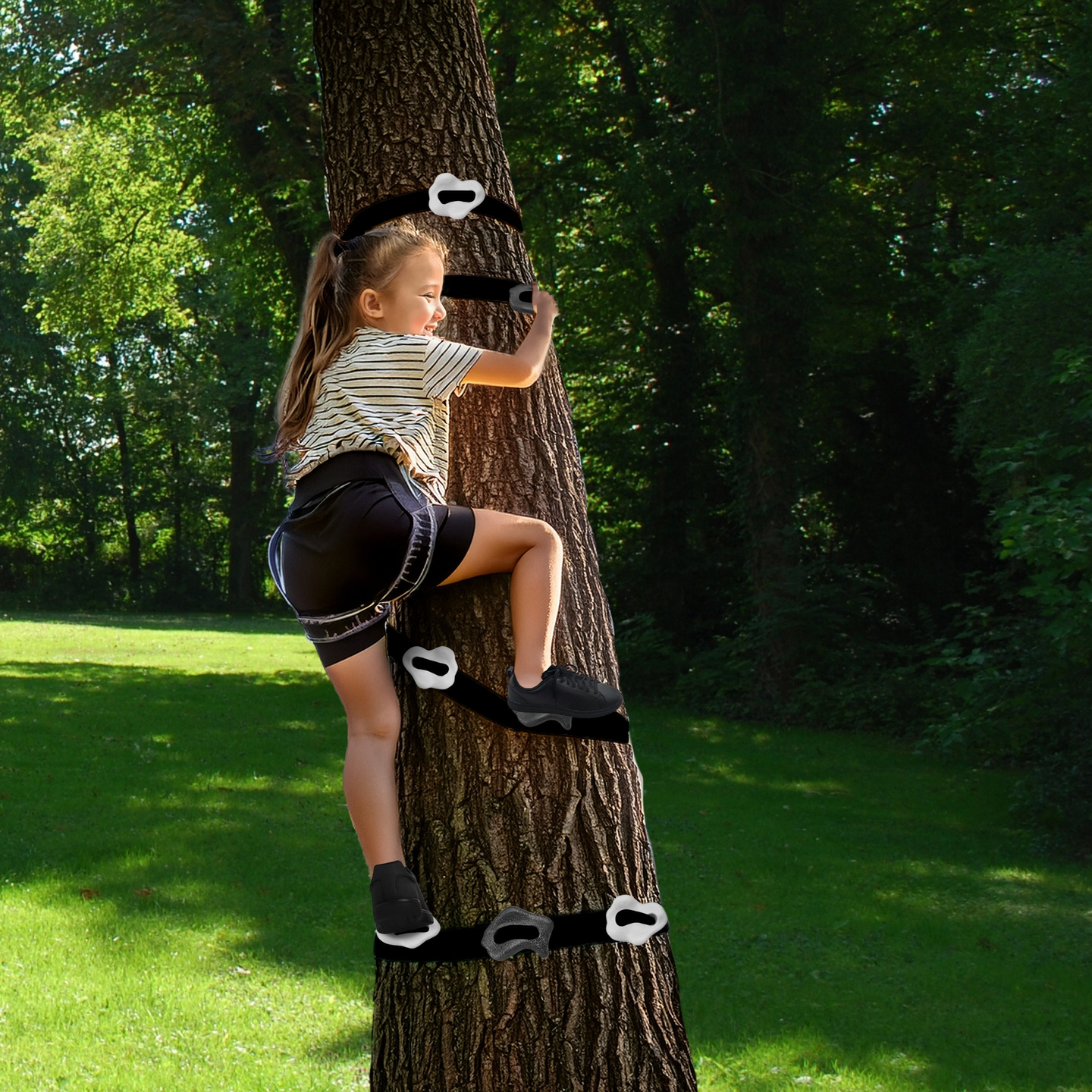 Kit di arrampicata sugli alberi HyperMotion - 18 articoli