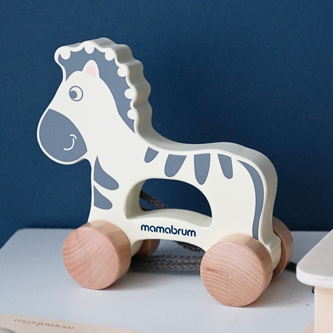 Set di giocattoli Montessori per bambini 19-24 mesi