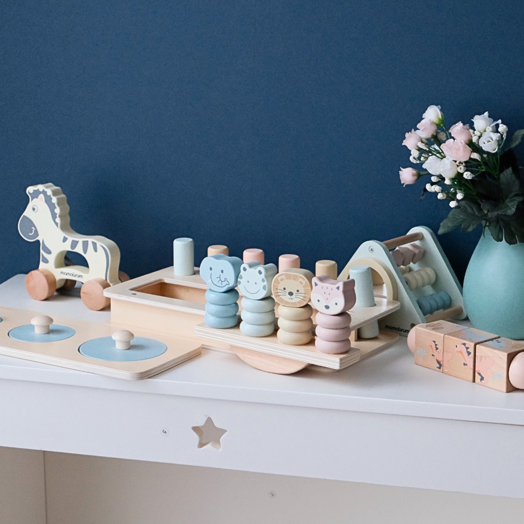 Set di giocattoli Montessori per bambini 19-24 mesi