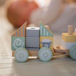 Treno di legno con blocchi per bambino - Fattoria
